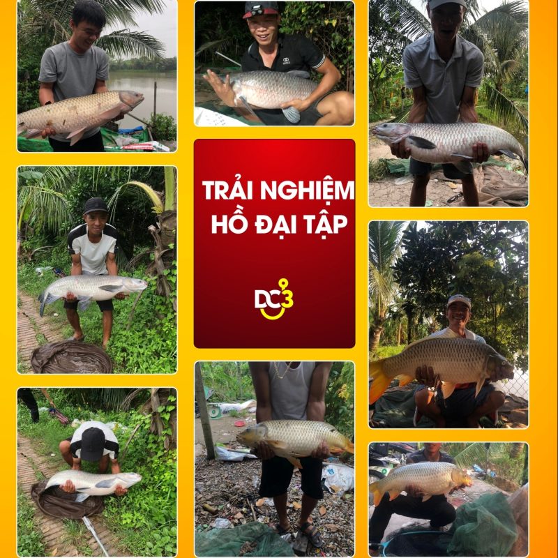 Trải nghiệm cần thủ hồ câu Đại Tập