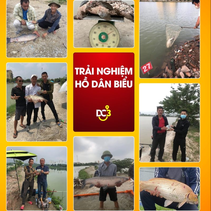 Trải nghiệm cần thủ hồ câu Dân Biểu