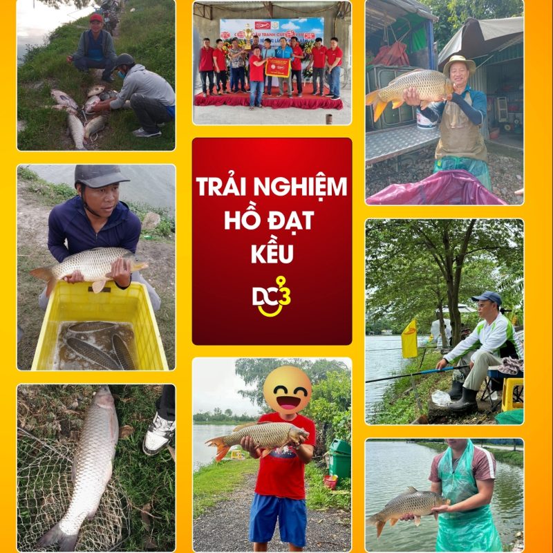 Trải nghiệm cần thủ hồ câu Đạt Kều