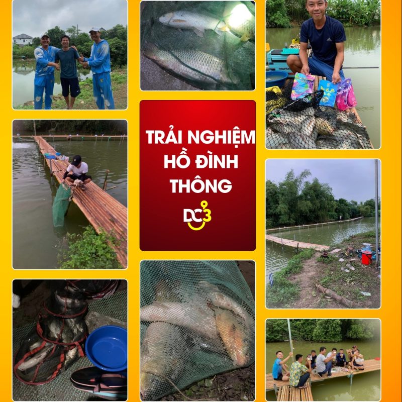 Trải nghiệm cần thủ hồ câu Đình Thông