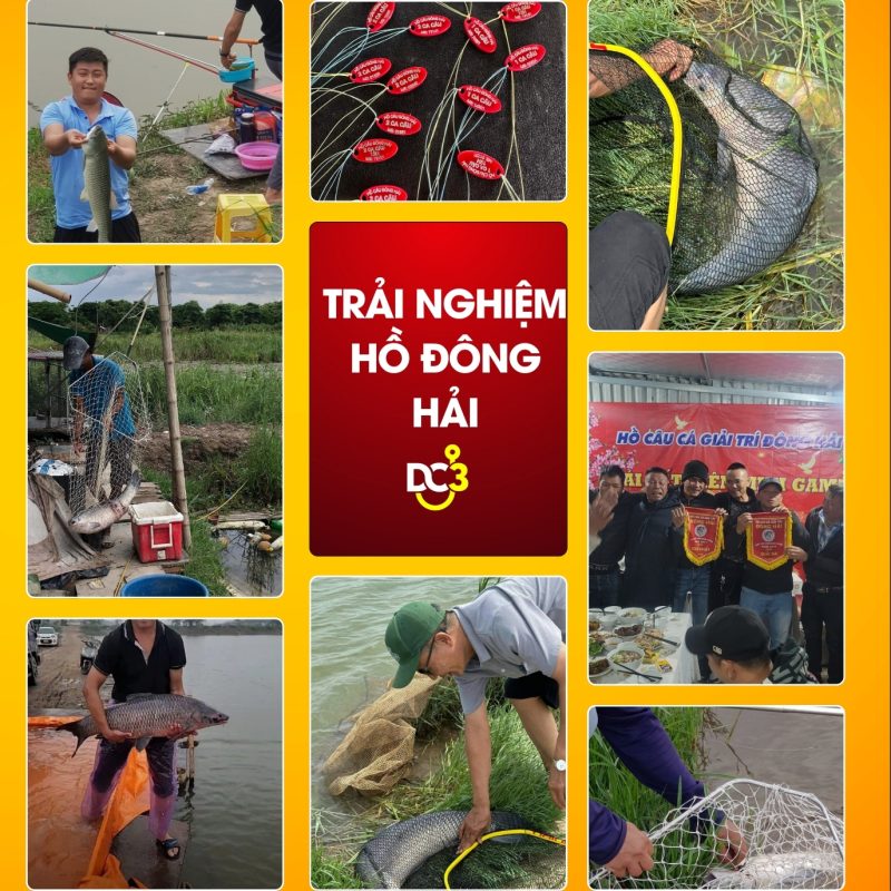 Trải nghiệm cần thủ hồ câu Đông Hải