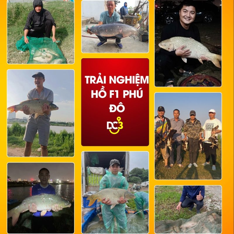 Trải nghiệm cần thủ hồ câu F1 Phú Đô