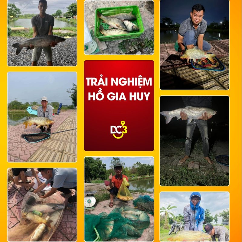 Trải nghiệm cần thủ hồ câu Gia Huy