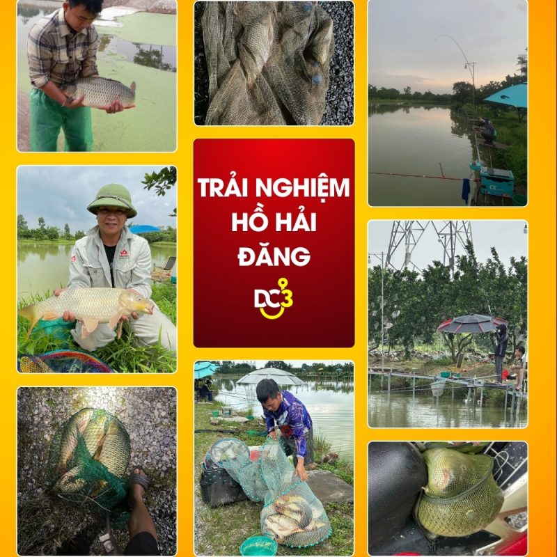 Trải nghiệm cần thủ hồ câu Hải Đăng