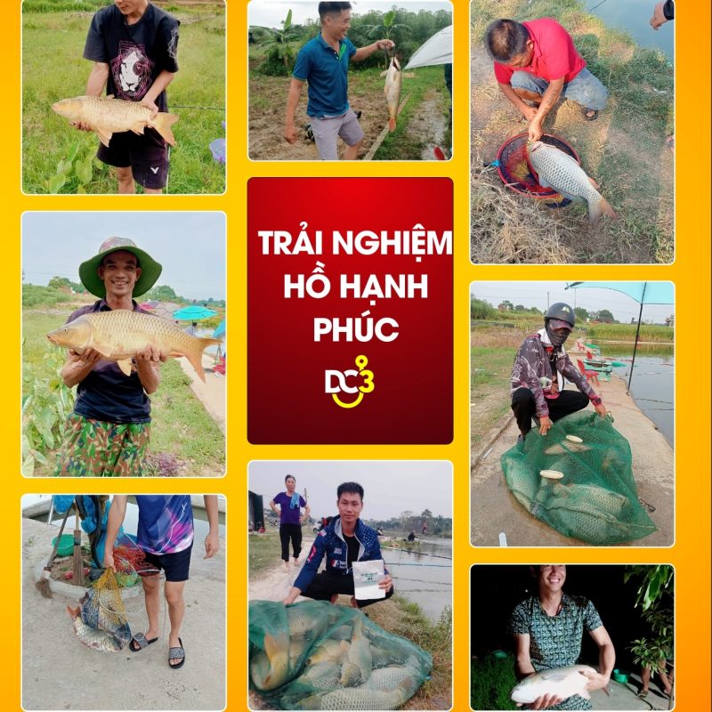 Trải nghiệm cần thủ hồ câu Hạnh Phúc