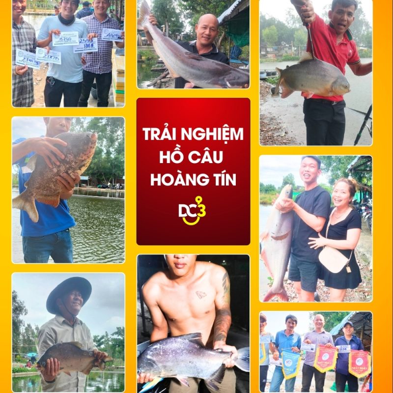 Trải nghiệm cần thủ hồ câu Hoàng Tín
