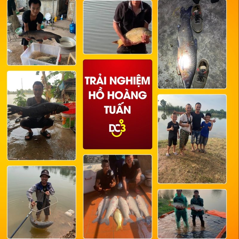 Trải nghiệm cần thủ hồ câu Hoàng Tuấn
