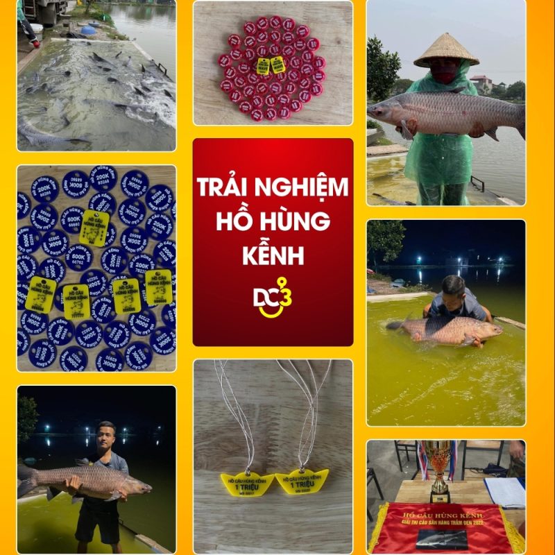 Trải nghiệm cần thủ hồ câu Hùng Kễnh
