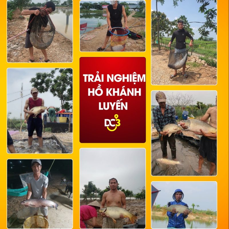 Trải nghiệm cần thủ hồ câu Khánh Luyến