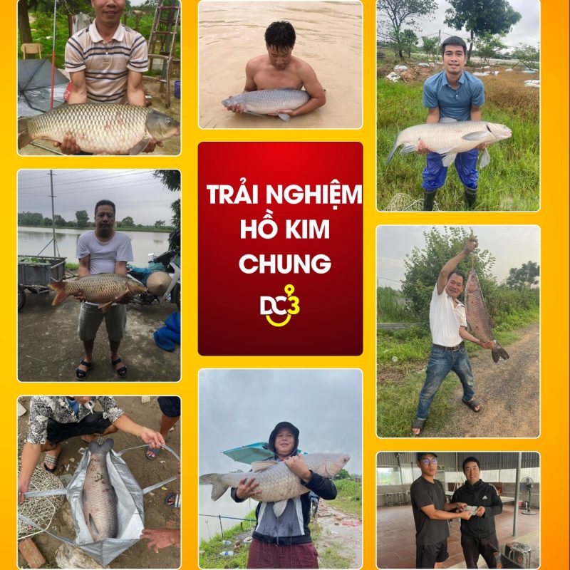 Trải nghiệm cần thủ hồ câu Kim Chung