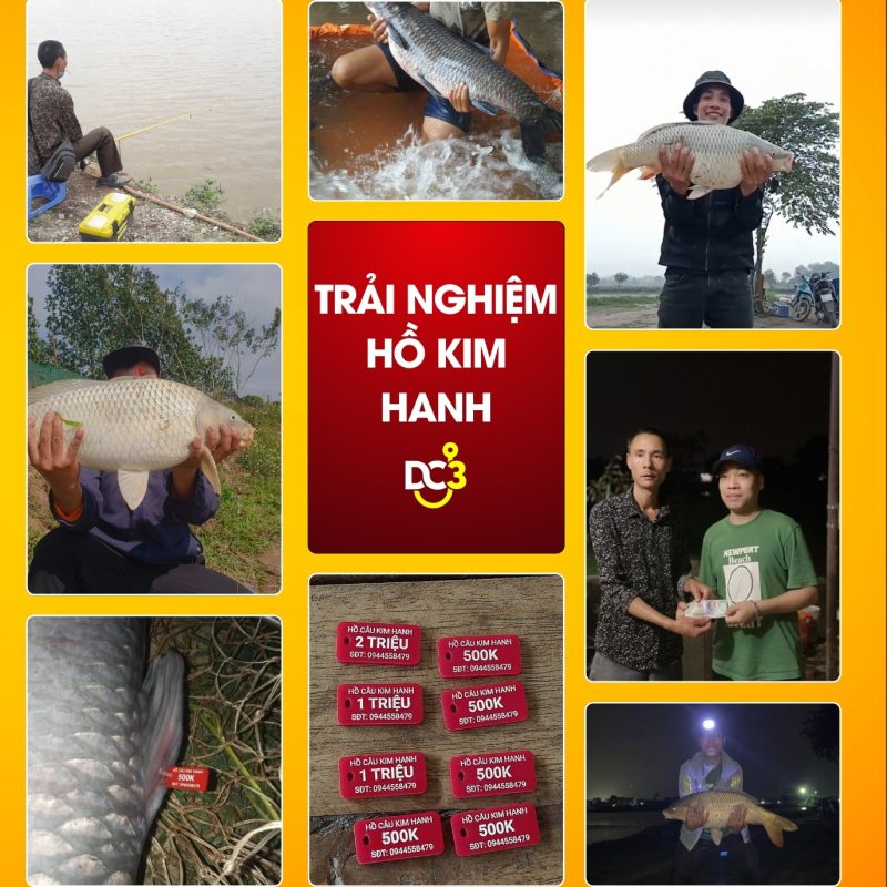 Trải nghiệm cần thủ hồ câu Kim Hanh