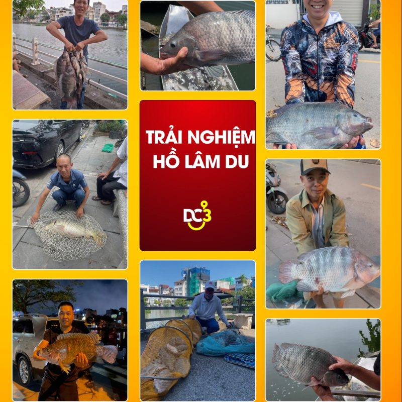 Trải nghiệm cần thủ hồ câu Lâm Du
