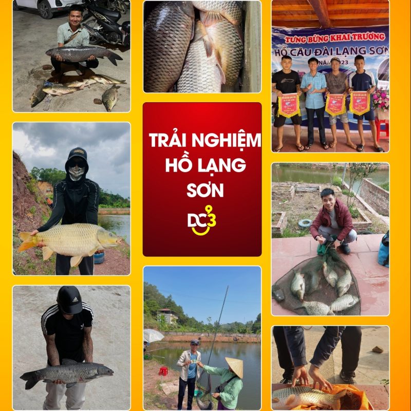 Trải nghiệm cần thủ hồ câu Lạng Sơn