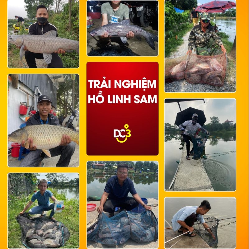 Trải nghiệm cần thủ hồ câu Linh Sam
