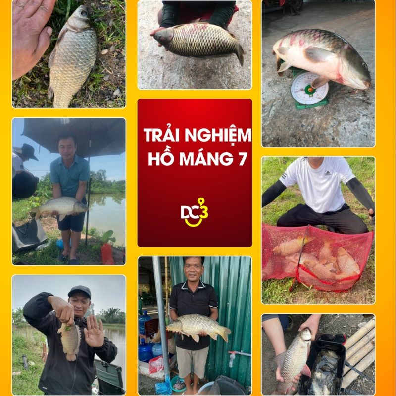Trải nghiệm cần thủ hồ câu máng 7