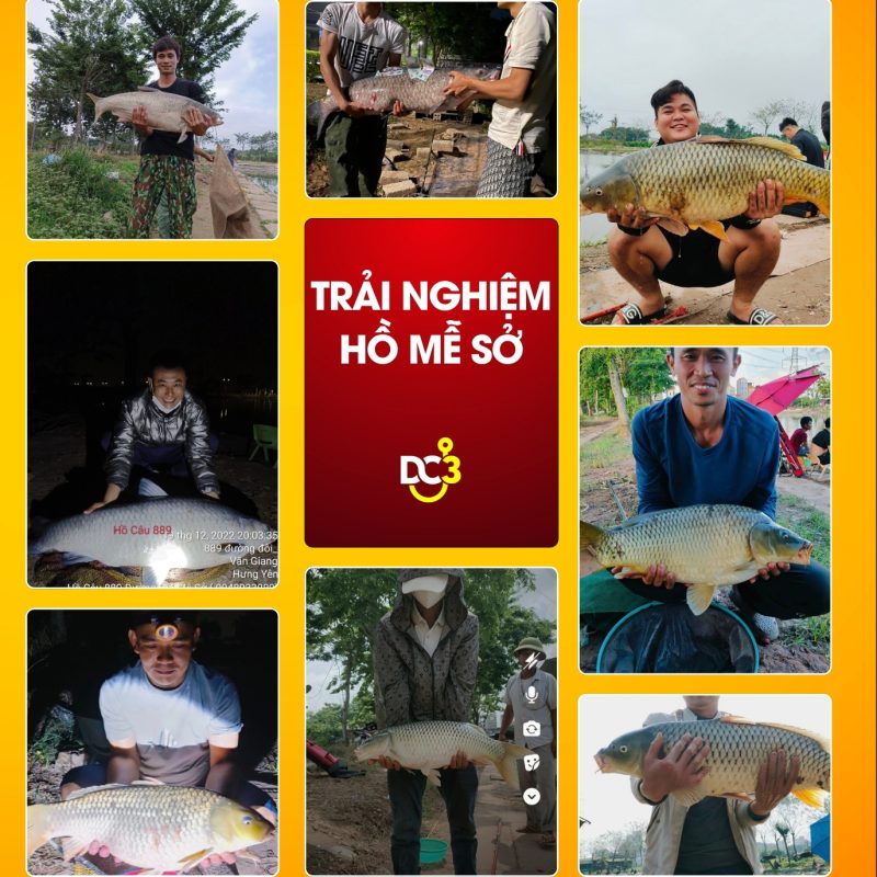 Trải nghiệm cần thủ hồ câu Mễ Sở
