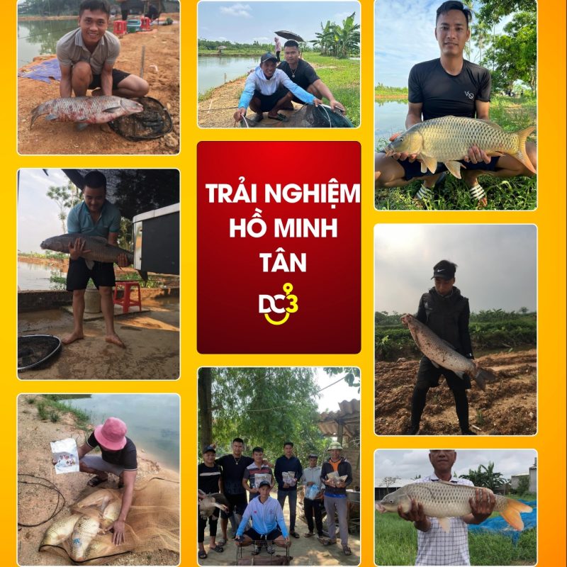 Trải nghiệm cần thủ hồ câu Minh Tân