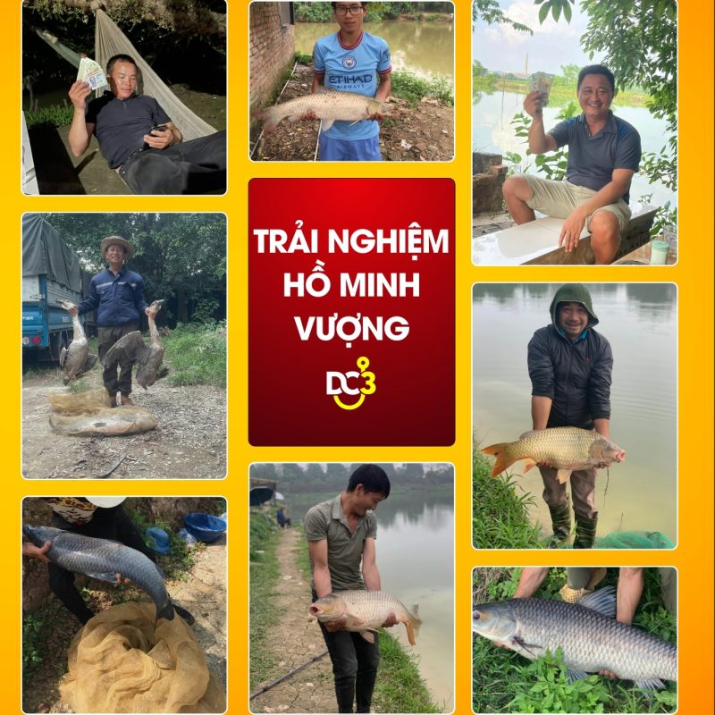 Trải nghiệm cần thủ hồ câu Minh Vượng
