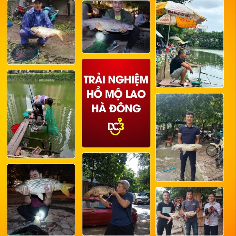 Trải nghiệm cần thủ hồ câu Mỗ Lao Hà Đông