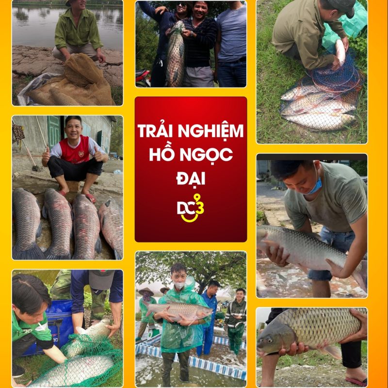 Trải nghiệm cần thủ hồ câu Ngọc Đại
