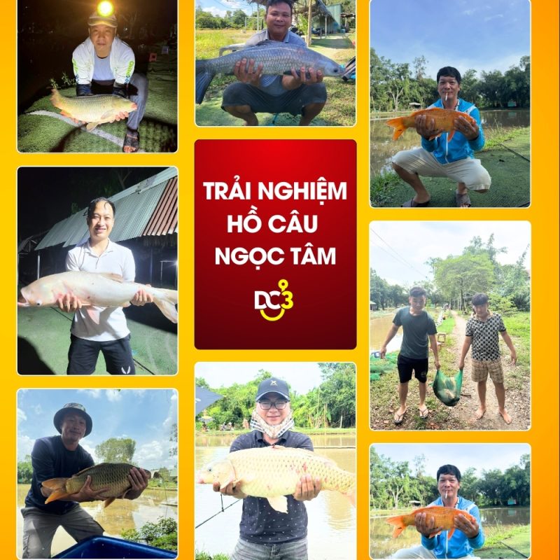 Trải nghiệm cần thủ hồ câu Ngọc Tâm