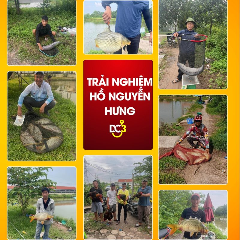 Trải nghiệm cần thủ hồ câu Nguyễn Hưng