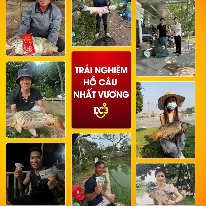Trải nghiệm cần thủ hồ câu Nhất Vương