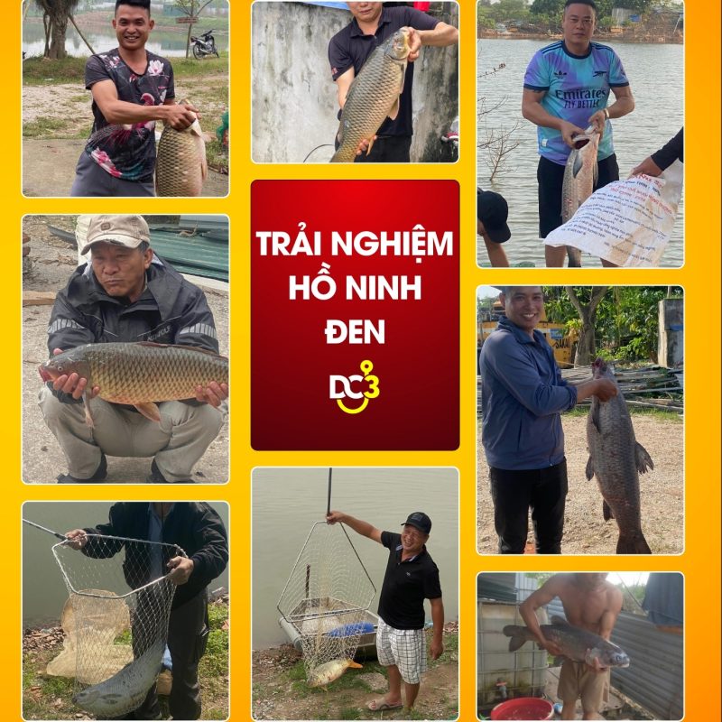Trải nghiệm cần thủ hồ câu Ninh Đen