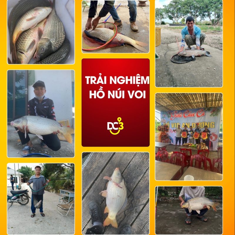 Trải nghiệm cần thủ hồ câu Núi Voi