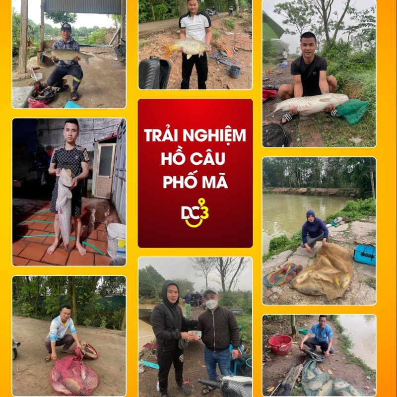 Trải nghiệm cần thủ hồ câu Phố Mã