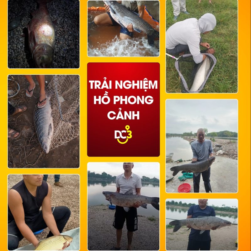 Trải nghiệm cần thủ hồ câu Phong Cảnh