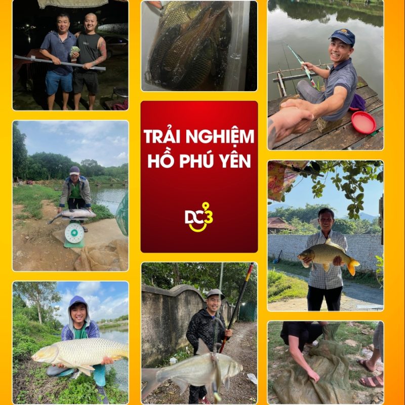 Trải nghiệm săn cá tại Hồ câu Phú Yên