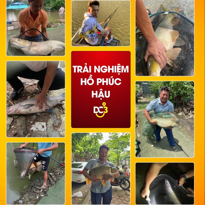 Trải nghiệm cần thủ hồ câu Phúc Hậu