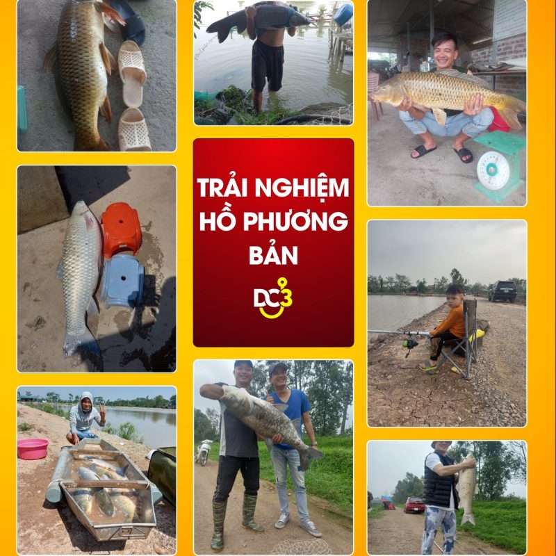 Trải nghiệm cần thủ hồ câu Phương Bản