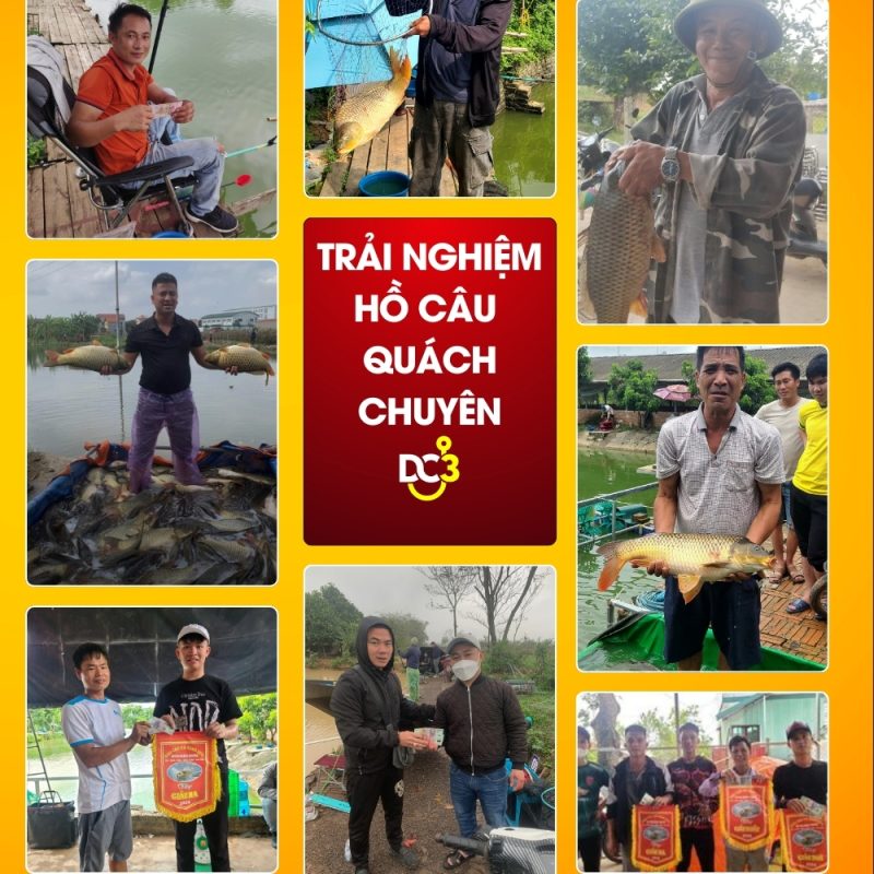 Trải nghiệm cần thủ hồ câu Quách Chuyên