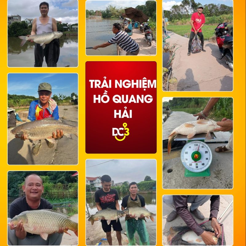Trải nghiệm cần thủ hồ câu Quang Hải
