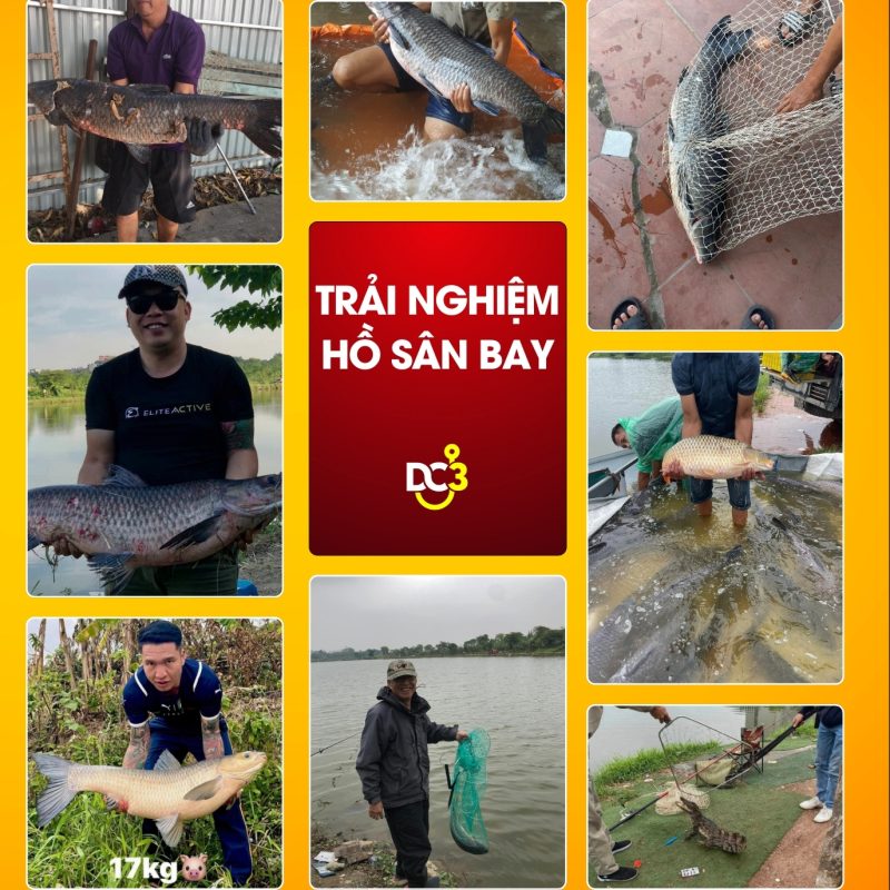 Trải nghiệm cần thủ hồ câu Sân Bay