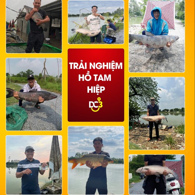 Trải nghiệm cần thủ hồ câu Tam Hiệp