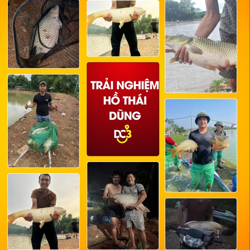 Trải nghiệm cần thủ hồ câu Thái Dũng