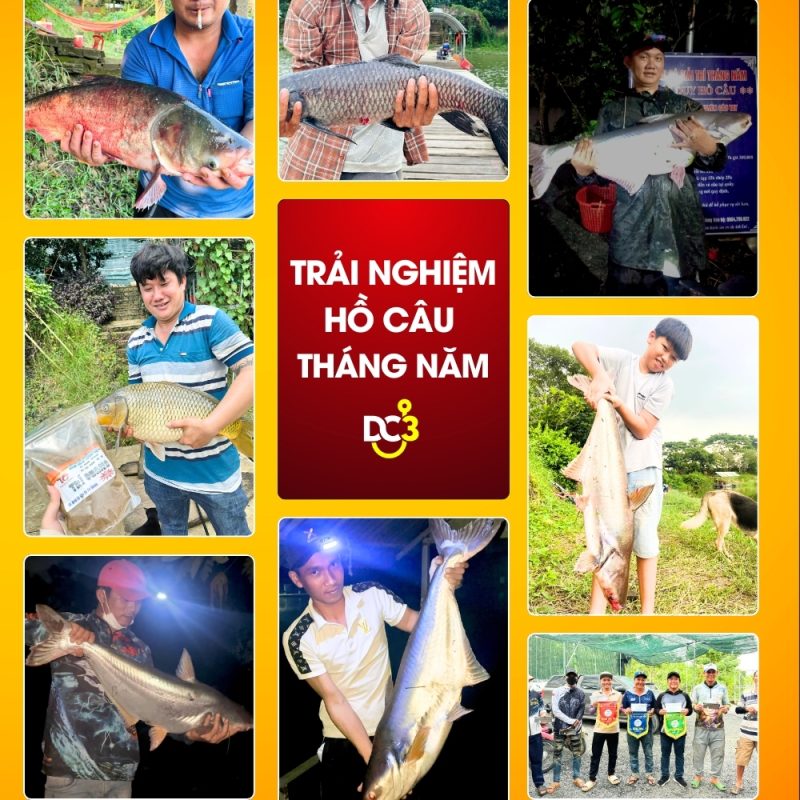 Trải nghiệm cần thủ hồ câu Tháng Năm