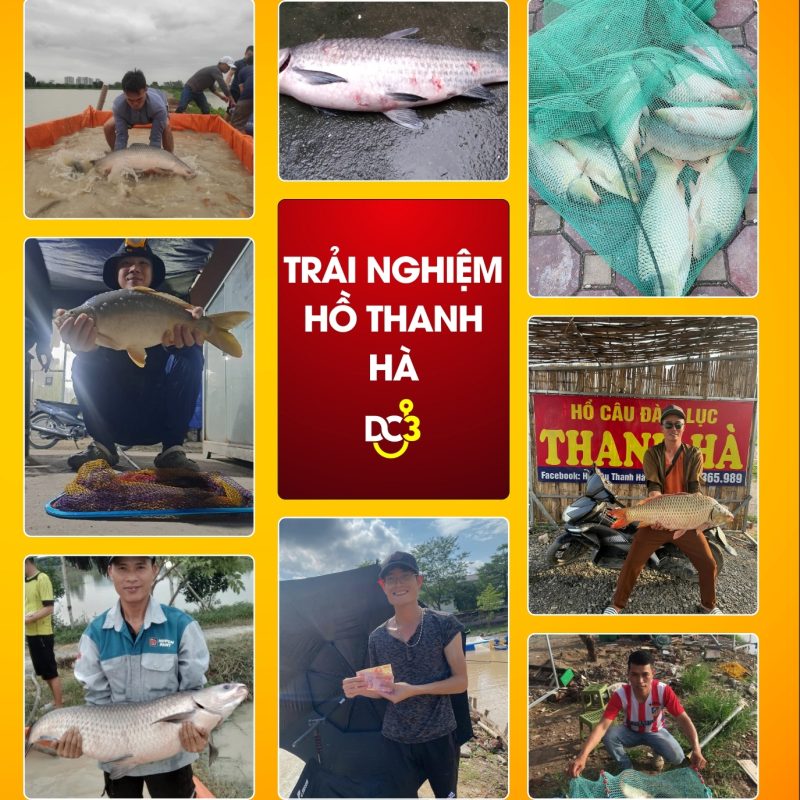 Trải nghiệm cần thủ hồ câu Thanh Hà