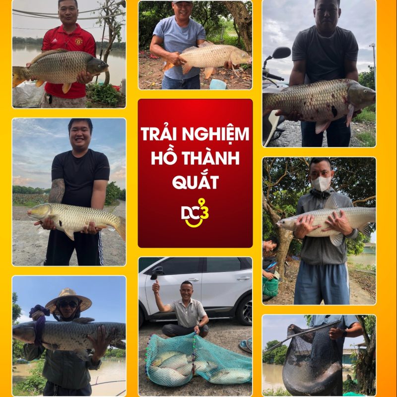 Trải nghiệm cần thủ hồ câu Thành Quắt
