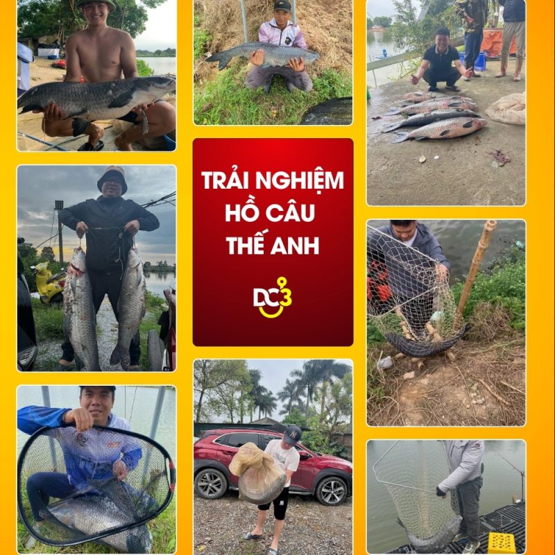 Trải nghiệm cần thủ hồ câu Thế Anh