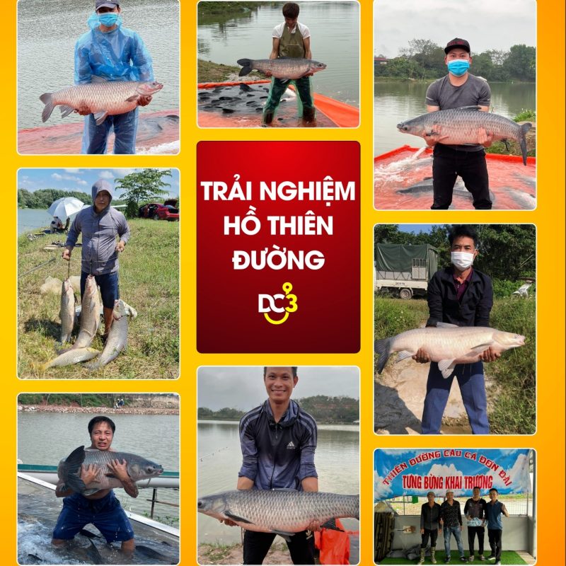 Trải nghiệm cần thủ hồ câu Thiên Đường