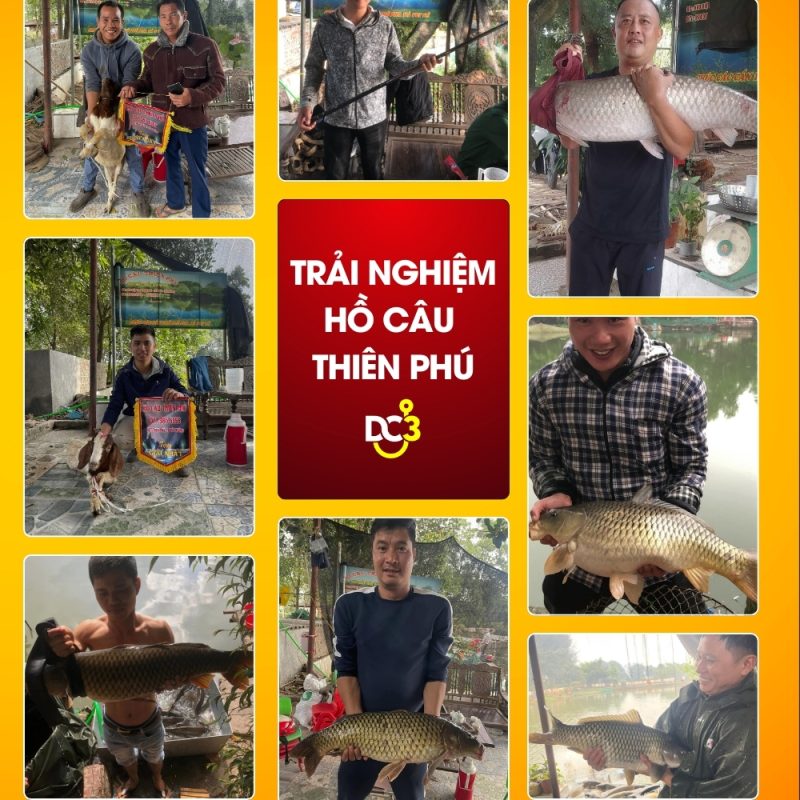 Trải nghiệm cần thủ hồ câu Thiên Phú