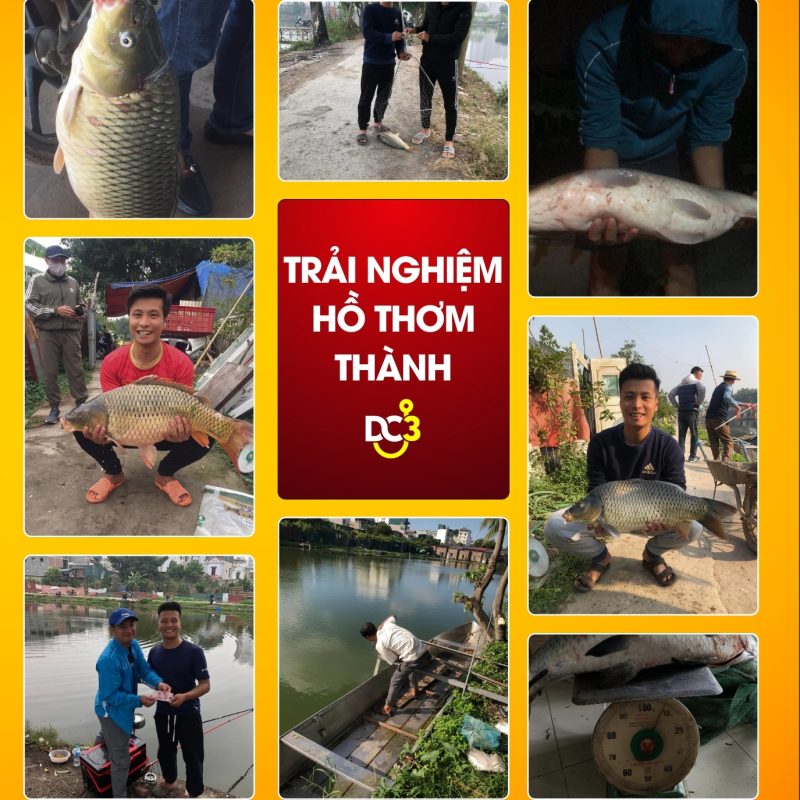 Trải nghiệm cần thủ hồ câu Thơm Thành