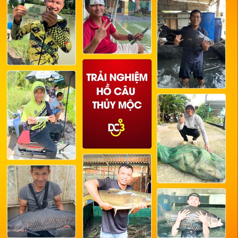 Trải nghiệm cần thủ hồ câu Thủy Mộc