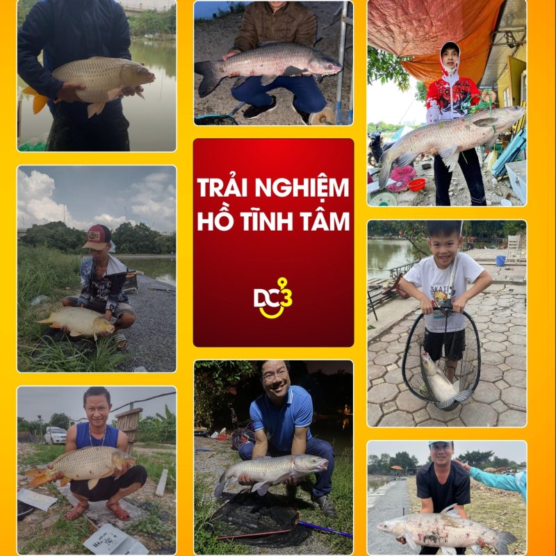Trải nghiệm cần thủ hồ câu Tĩnh Tâm
