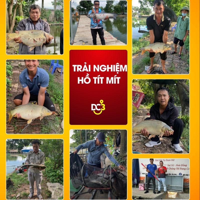 Trải nghiệm cần thủ hồ câu Tít Mít 378 Lĩnh Nam