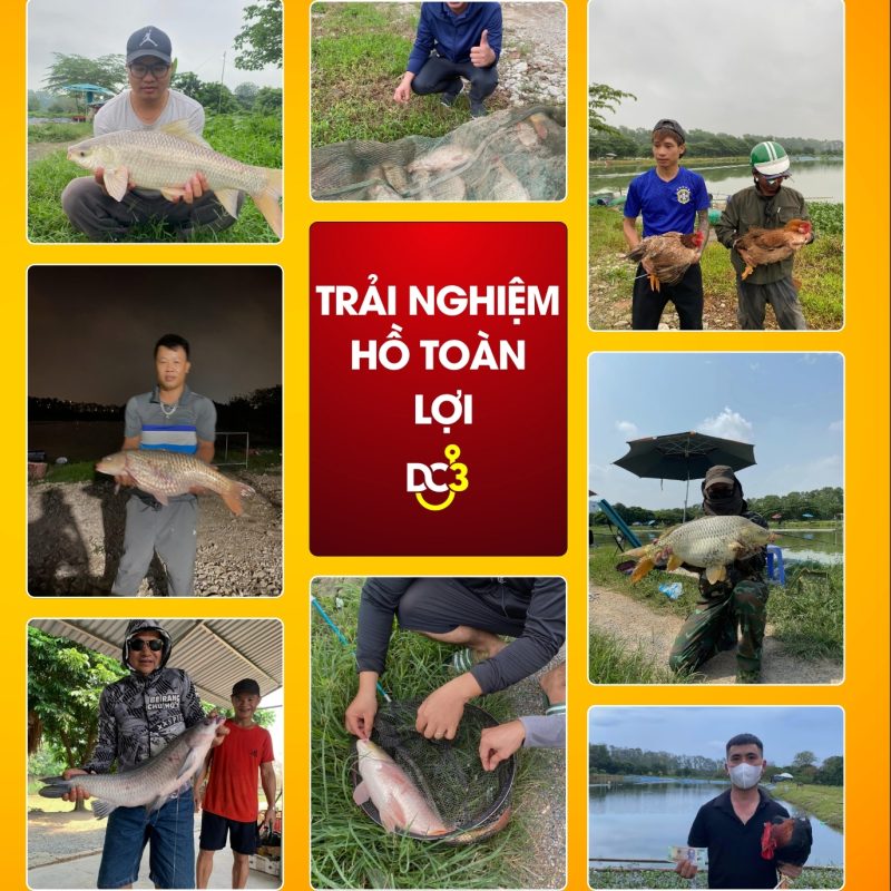 Trải nghiệm cần thủ hồ câu Toàn Lợi